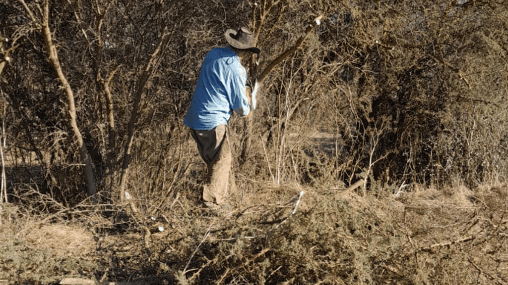 Trabajos de aseo y ornato en Raíces de Casablanca, proyecto de parcelas rodeado de naturaleza en Casablanca